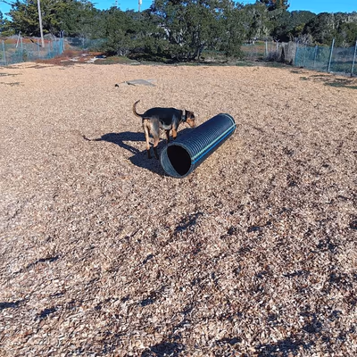 Dog Park at Natividad Creek Park photo 1